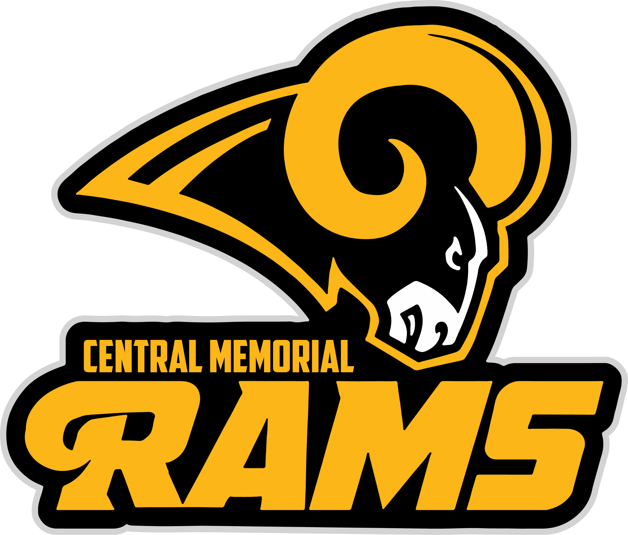 CMHS ALT BG logo